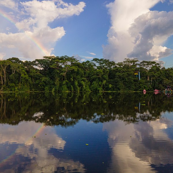 green trees beside body of water under blue sky and white clouds during daytime