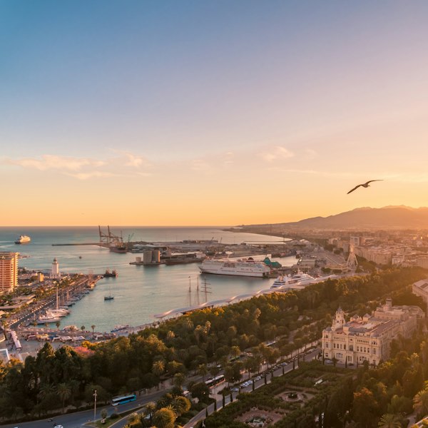 top view photography of city during daytime