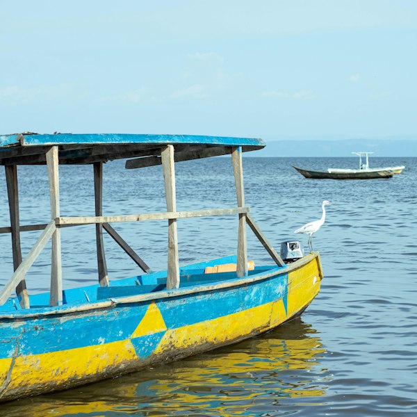 A bird perches on a boat on the lake