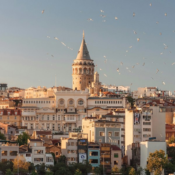 The Galata Tower rising above the cityscape of Istanbul with birds flying overhead