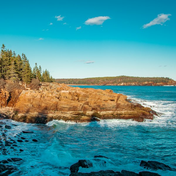 green trees on brown rocky mountain beside blue sea under blue sky during daytime