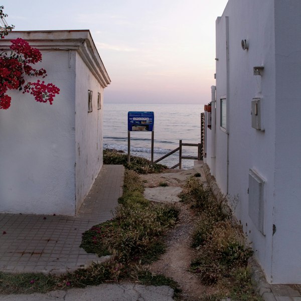 A white building with a red tree in front of it