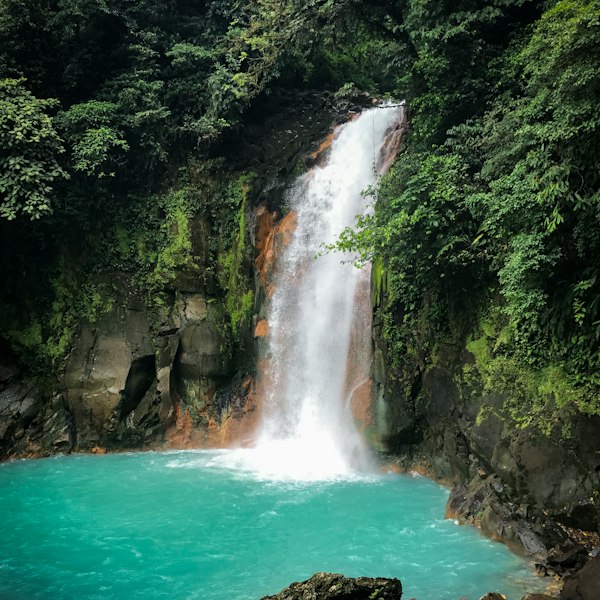 waterfalls in the middle of the forest during daytime