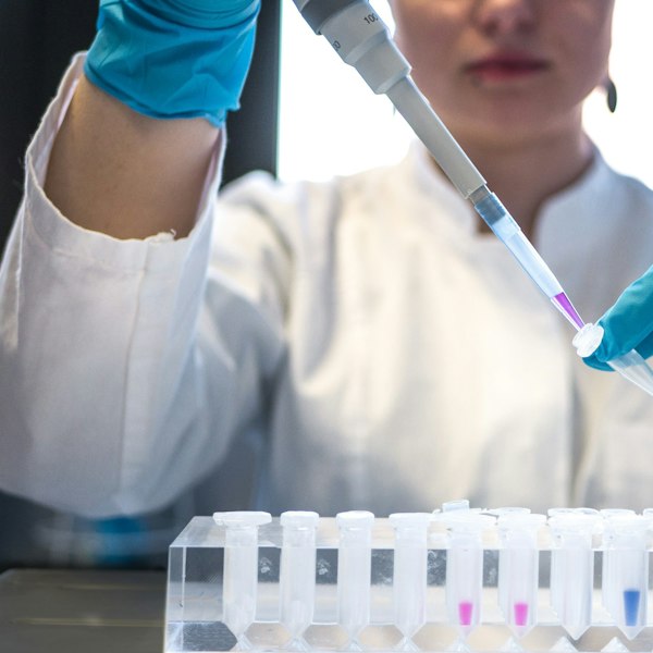 scientist using pipette with test tubes in lab