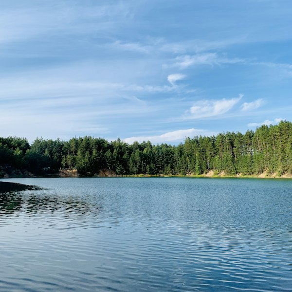 body of water near green trees under blue sky at daytime