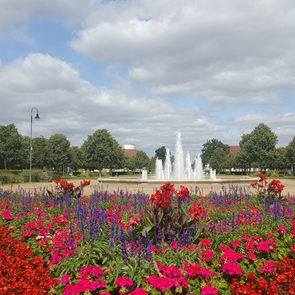 red flower field viewing water fountain under white and blue skies during daytime