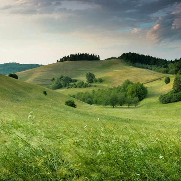green hills with forest under cloudy sky during daytime